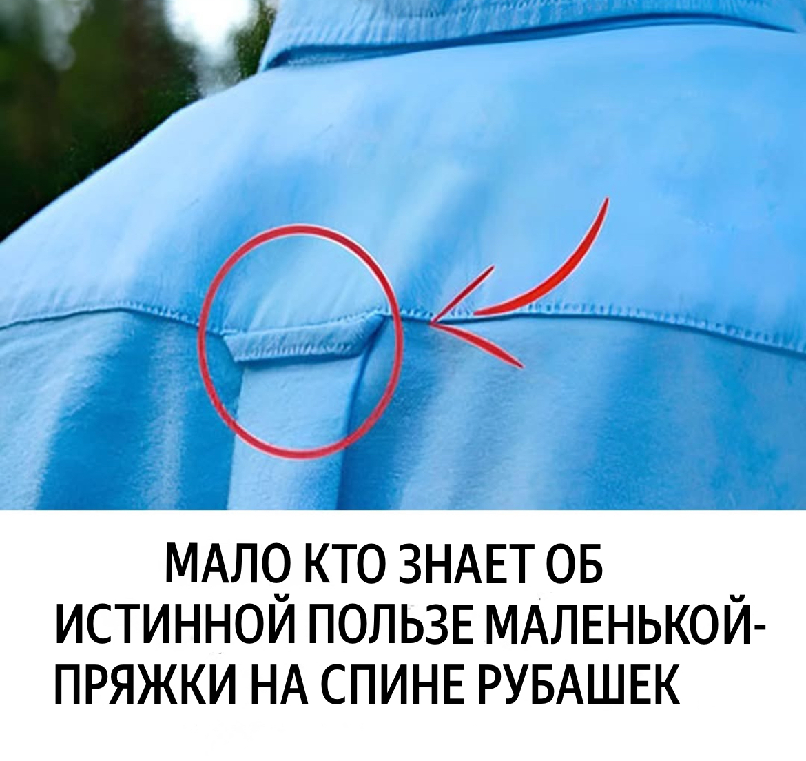 Тайна пряжки на спине рубашки: от морских