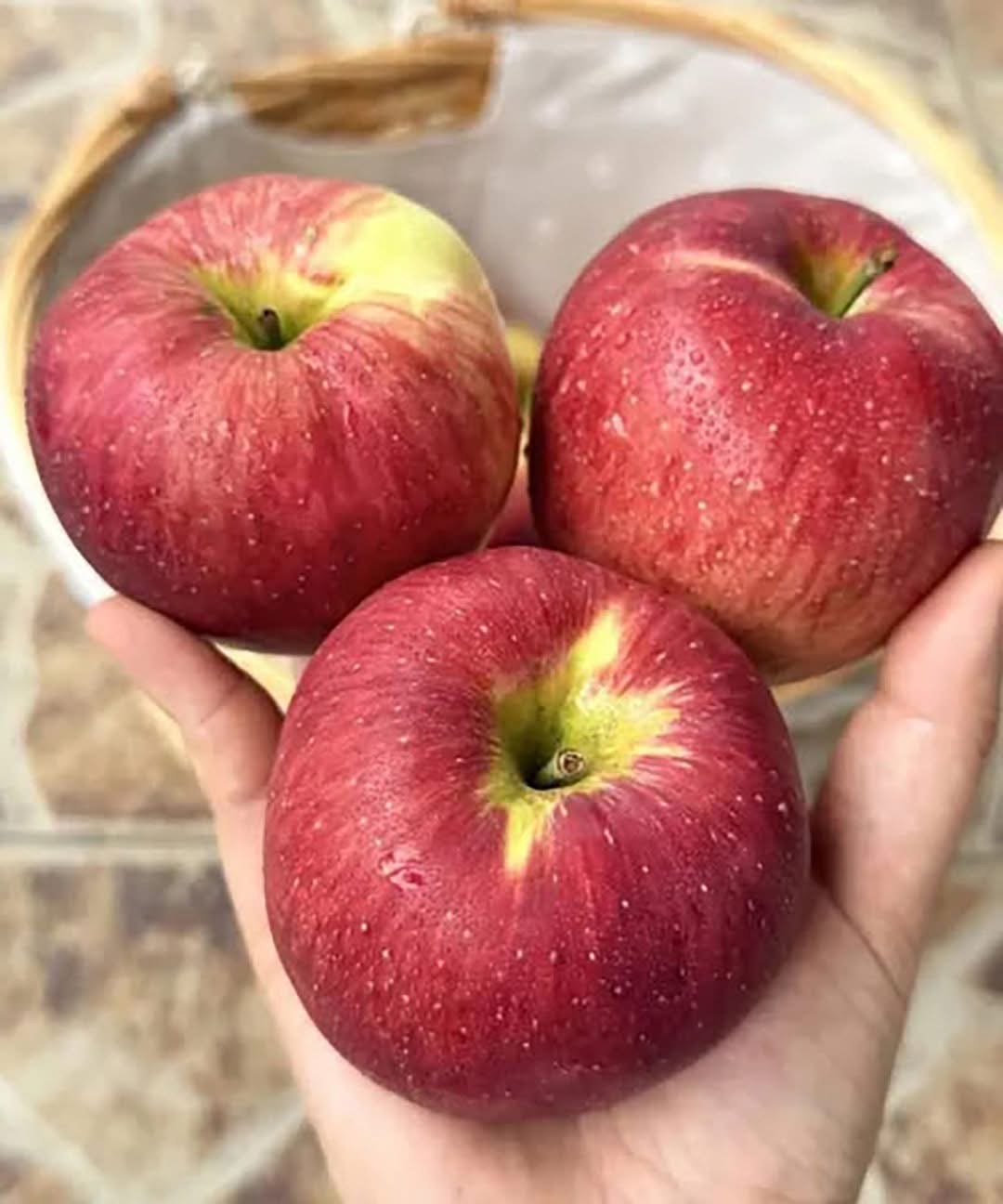 Плод здоровья: чем полезны яблоки на самом деле