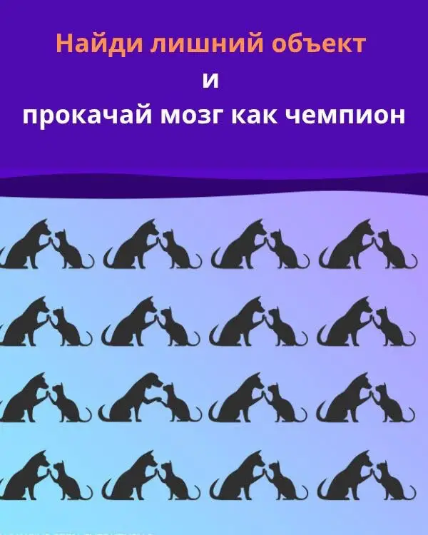 🧠 «Лишний силуэт» — загадка, которая изменила мой день